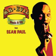 постер песни Sean Paul - Back It Up Deh