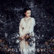 постер песни Polnalyubvi - Кометы (минусовка)