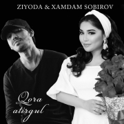 постер песни Ziyoda, Xamdam Sobirov - Qora atirgul