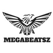 постер песни MegaBeatsZ